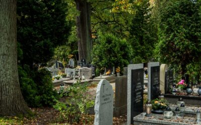 Ubezpieczenie nagrobka – ile kosztuje, co&nbsp;obejmuje i&nbsp;czy&nbsp;warto się na&nbsp;nie&nbsp;zdecydować?